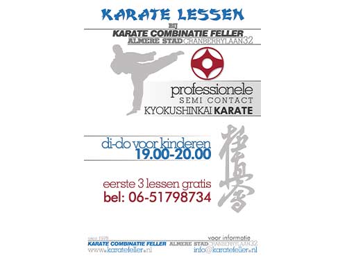 Design print opdracht Karate Flyer