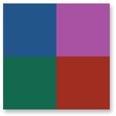 La Cuisine Ria Ronde, Introductie Animatie